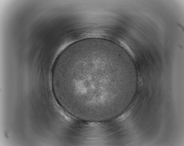 X0000095921035200801181413