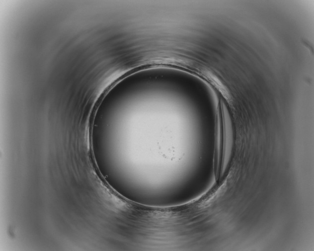 X0000095921036200801181413