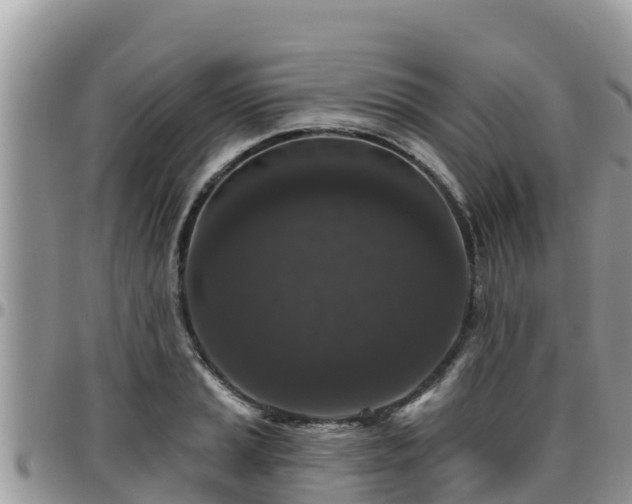 X0000095921037200801181413