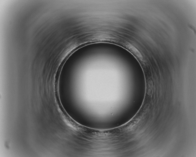 X0000095921039200801181413