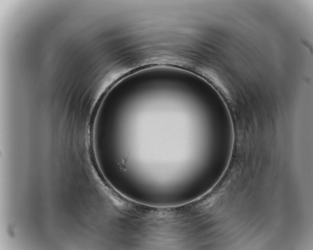 X0000095921040200801181413