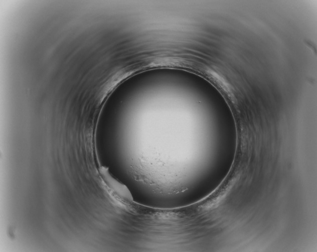 X0000095921041200801181413