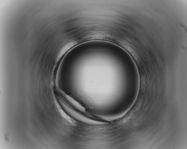 X0000095921042200801181413