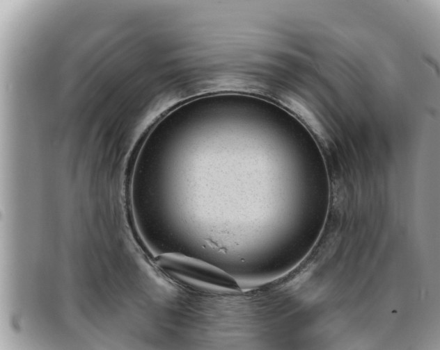 X0000095921043200801181413