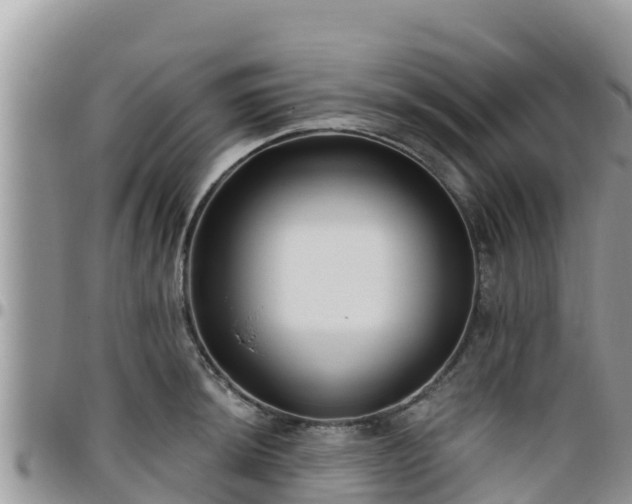 X0000095921044200801181413