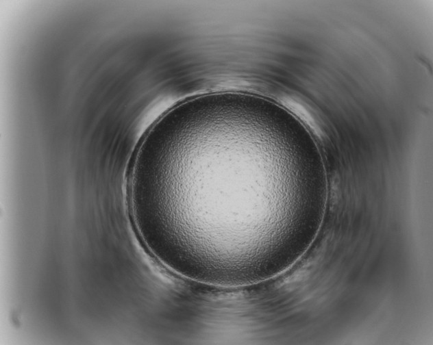 X0000095921047200801181413