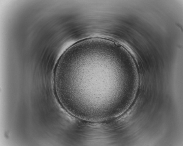 X0000095921048200801181413