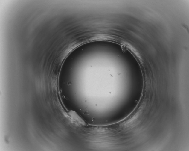 X0000095921049200801181413