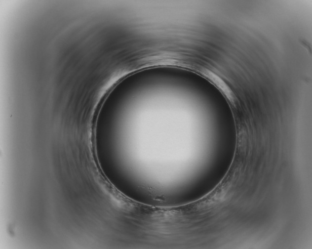 X0000095921051200801181413