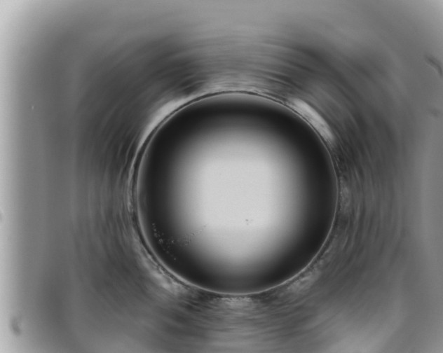 X0000095921052200801181413