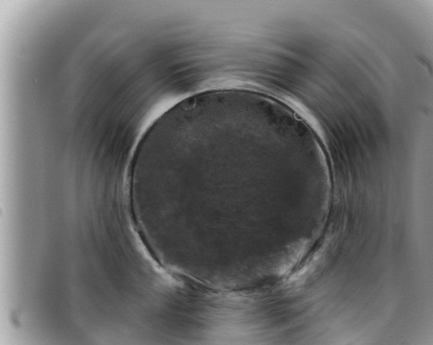 X0000095921053200801181413