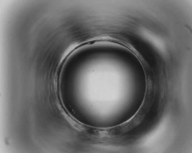 X0000095921054200801181413