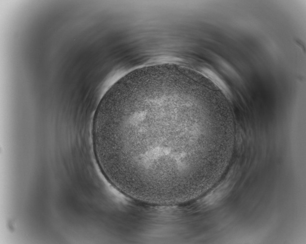 X0000095921055200801181413