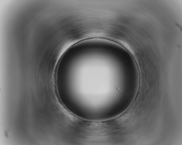 X0000095921056200801181413