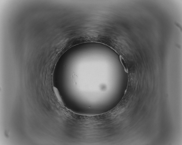 X0000095921057200801181413