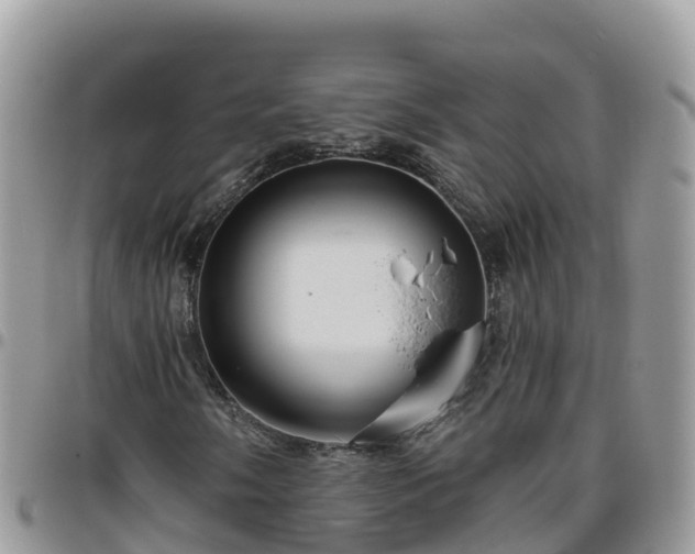 X0000095921058200801181413