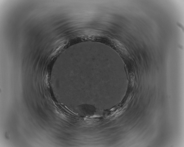 X0000095921060200801181413