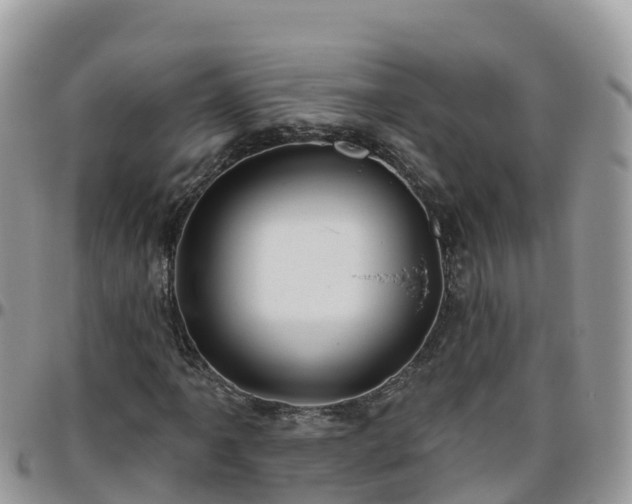 X0000095921061200801181413