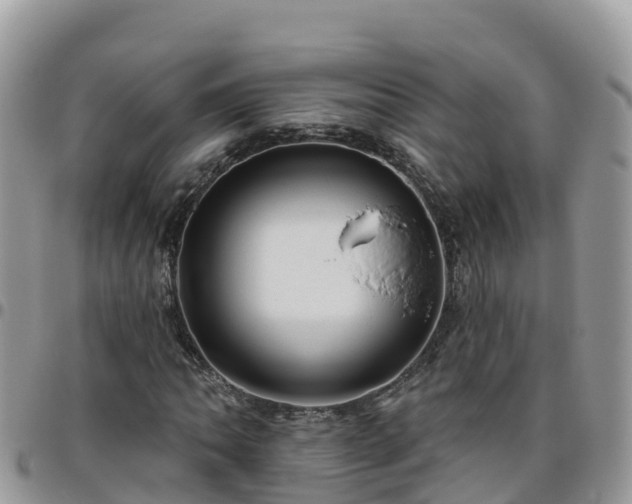 X0000095921062200801181413