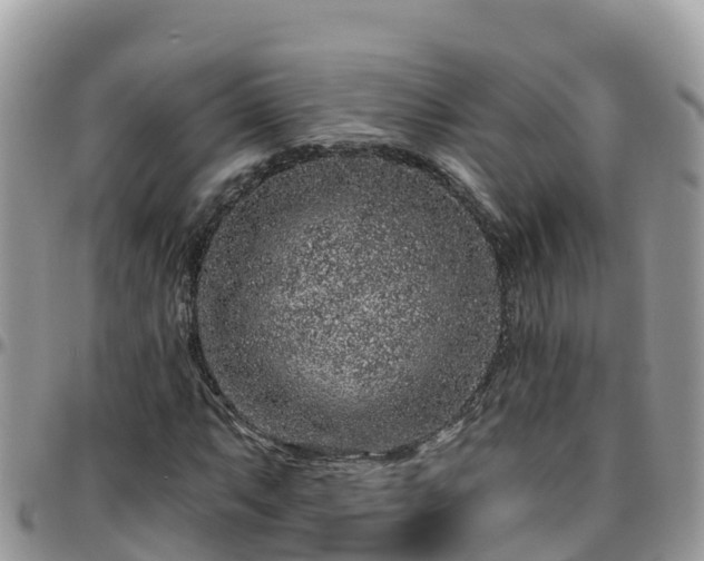 X0000095921063200801181412