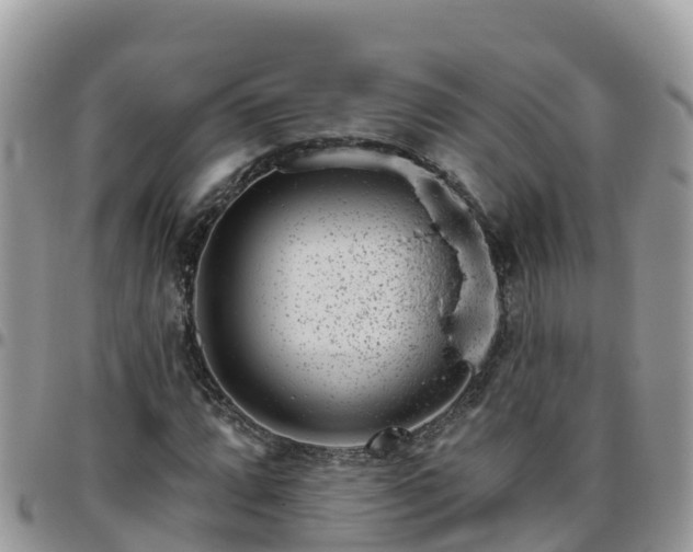 X0000095921064200801181412