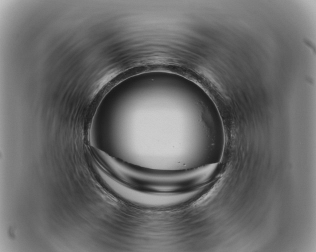 X0000095921065200801181412