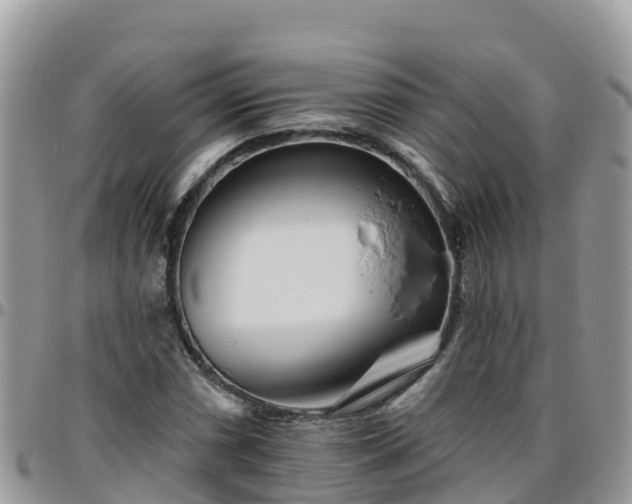 X0000095921066200801181412