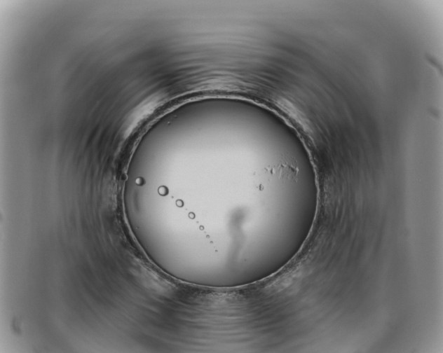 X0000095921067200801181412