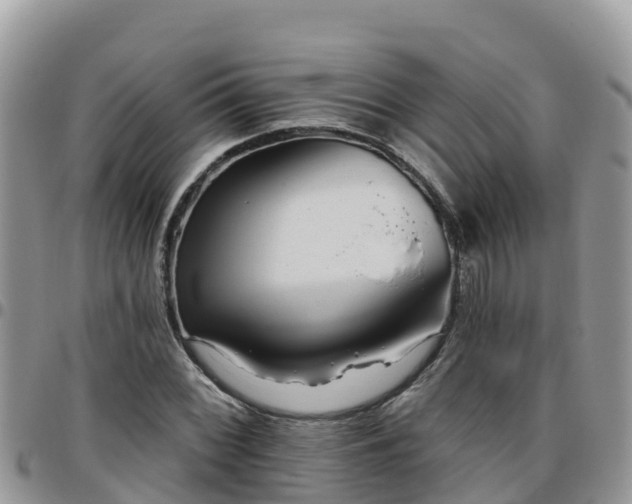 X0000095921068200801181412