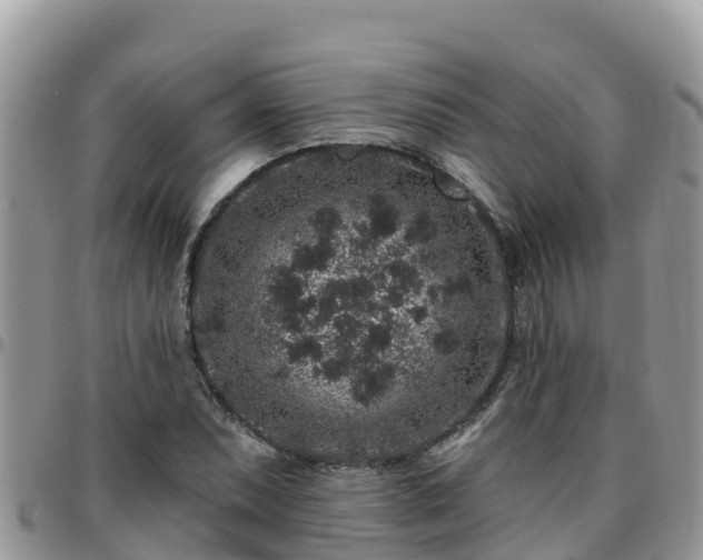 X0000095921071200801181412