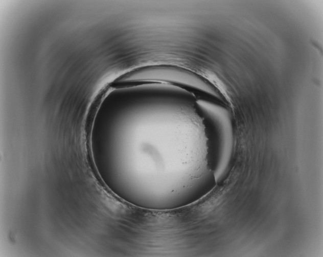 X0000095921072200801181412