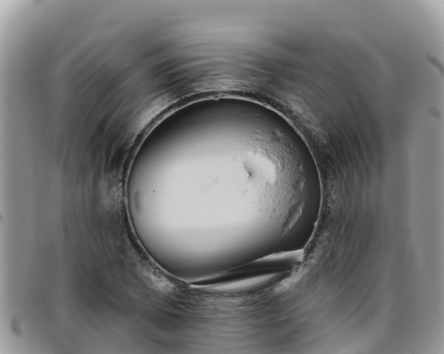 X0000095921073200801181412