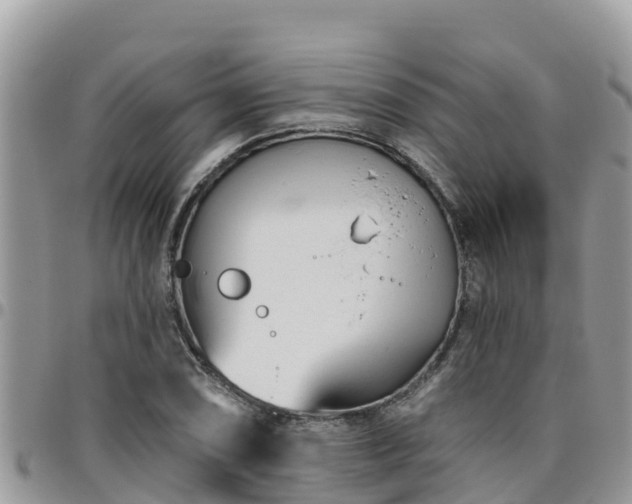 X0000095921074200801181412