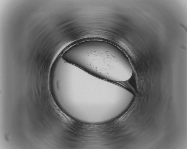 X0000095921076200801181412