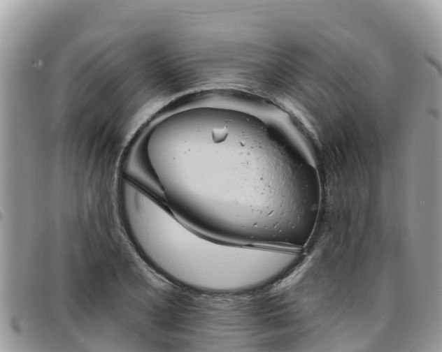 X0000095921077200801181412