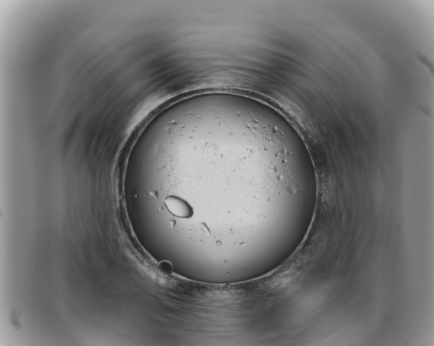 X0000095921078200801181412