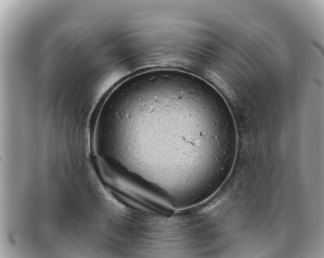 X0000095921079200801181412