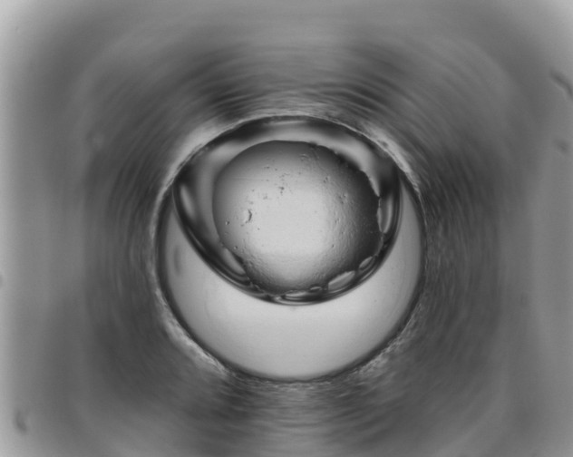 X0000095921080200801181412