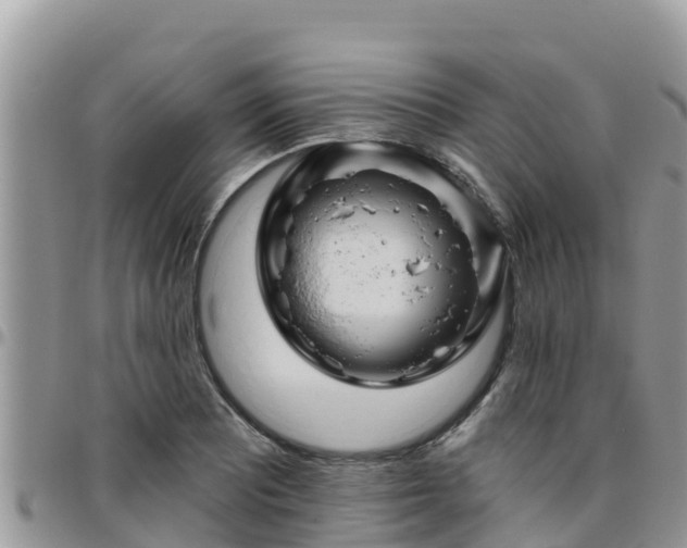 X0000095921081200801181412