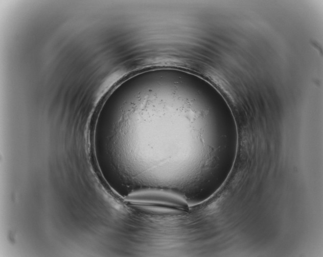 X0000095921082200801181412