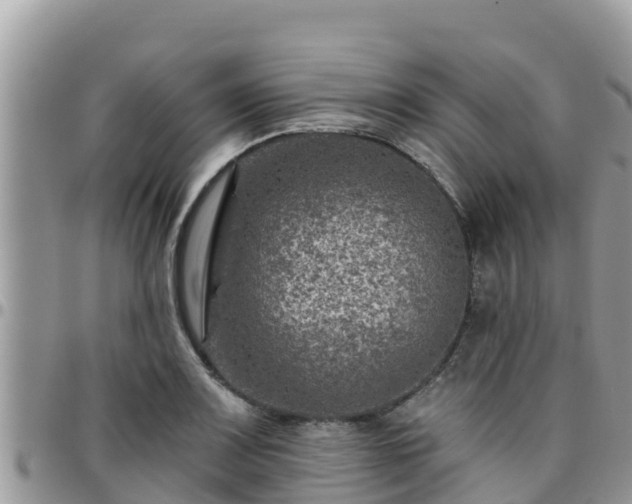 X0000095921083200801181412