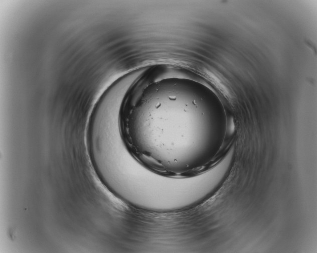 X0000095921084200801181412