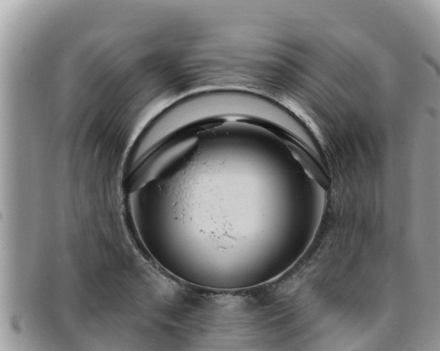 X0000095921085200801181412