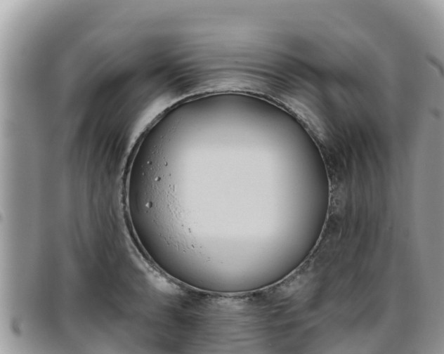 X0000095921086200801181412