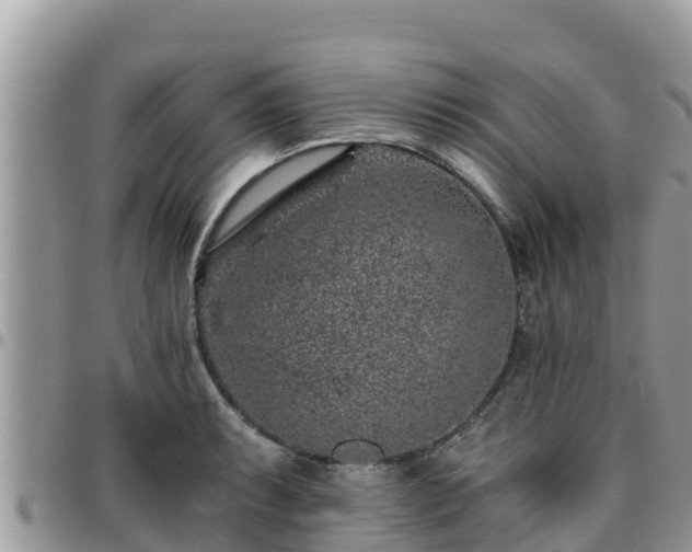 X0000095921087200801181412