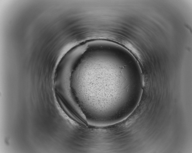 X0000095921088200801181412