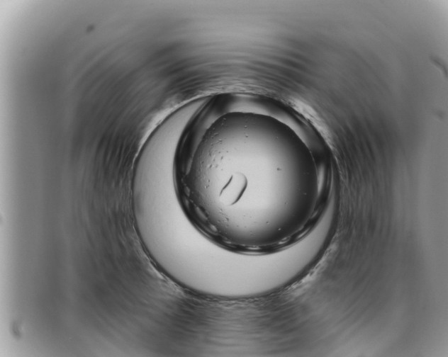 X0000095921089200801181412