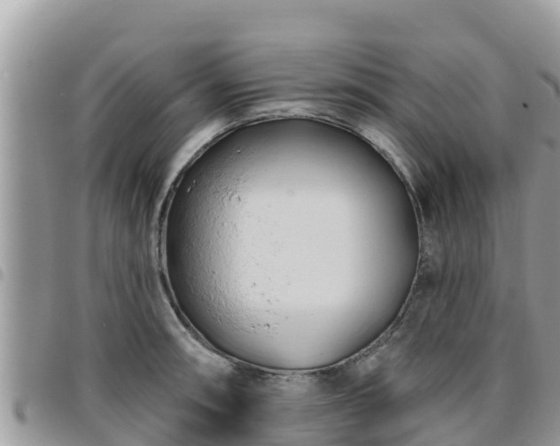 X0000095921090200801181412