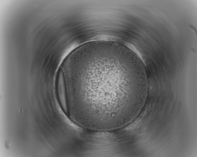 X0000095921091200801181412