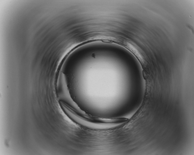 X0000095921092200801181412